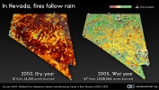 In Nevada, Fires Follow Rain