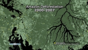 Amazon Deforestation