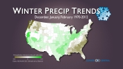 Winter Precipitation Trends